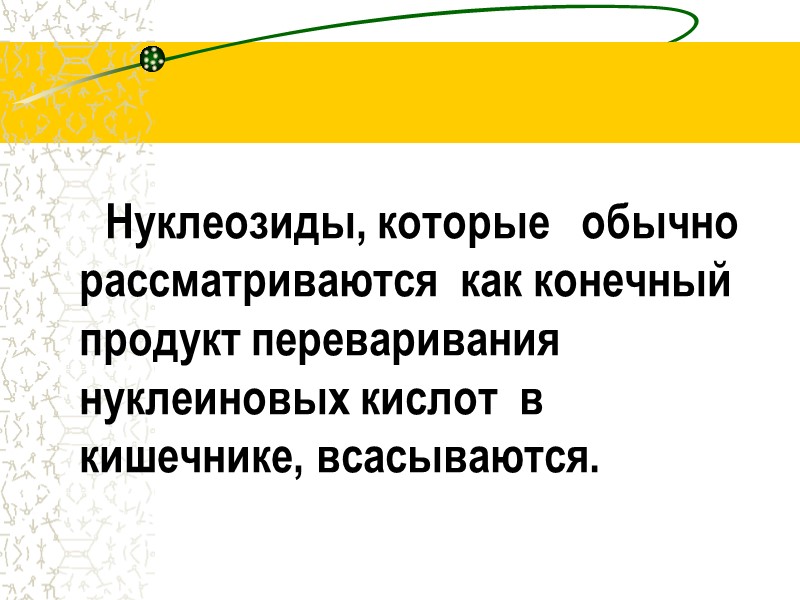 Нуклеозиды, которые   обычно рассматриваются  как конечный продукт переваривания нуклеиновых кислот 
